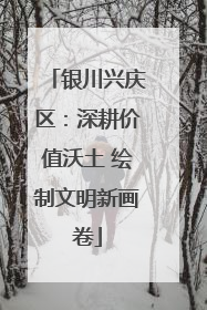 银川兴庆区：深耕价值沃土 绘制文明新画卷