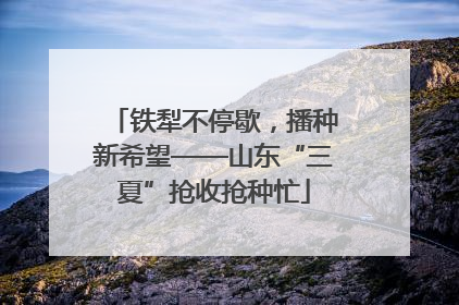 铁犁不停歇，播种新希望——山东“三夏”抢收抢种忙