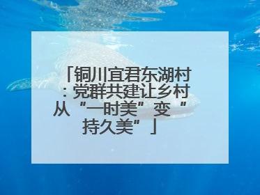 铜川宜君东湖村：党群共建让乡村从“一时美”变“持久美”