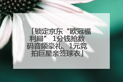 锁定京东“欧冠福利局” 1分钱抢数码音频豪礼、1元竞拍巨星亲签球衣