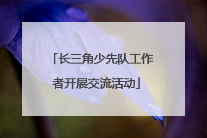 长三角少先队工作者开展交流活动