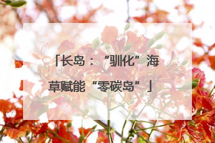 长岛：“驯化”海草赋能“零碳岛”