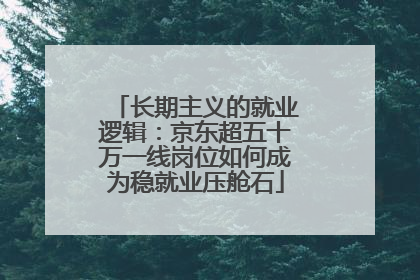 长期主义的就业逻辑：京东超五十万一线岗位如何成为稳就业压舱石