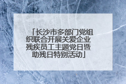 长沙市多部门党组织联合开展关爱企业残疾员工主题党日暨助残日特别活动