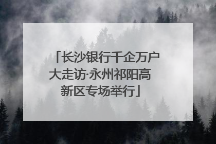 长沙银行千企万户大走访·永州祁阳高新区专场举行