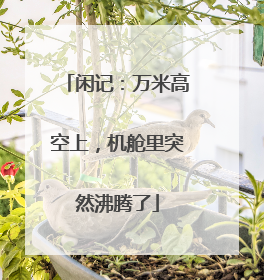 闲记：万米高空上，机舱里突然沸腾了