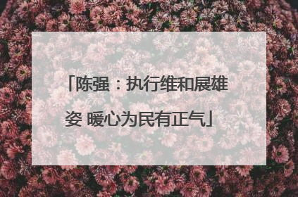 陈强：执行维和展雄姿 暖心为民有正气