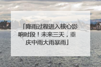 降雨过程进入核心影响时段！未来三天，重庆中雨大雨暴雨