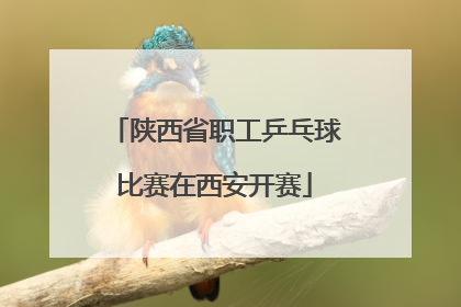 陕西省职工乒乓球比赛在西安开赛
