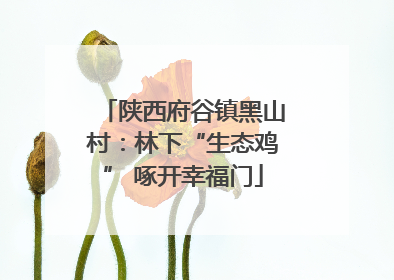 陕西府谷镇黑山村：林下“生态鸡” 啄开幸福门