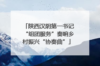 陕西汉阴第一书记“组团服务”奏响乡村振兴“协奏曲”