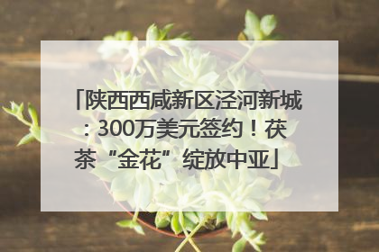 陕西西咸新区泾河新城：300万美元签约！茯茶“金花”绽放中亚