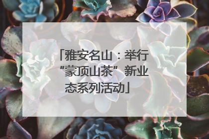 雅安名山：举行“蒙顶山茶”新业态系列活动