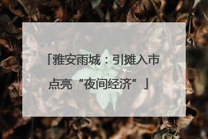 雅安雨城：引摊入市 点亮“夜间经济”
