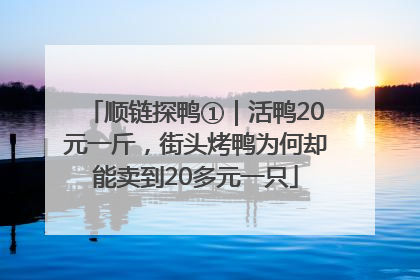 顺链探鸭①｜活鸭20元一斤，街头烤鸭为何却能卖到20多元一只