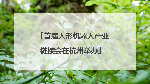 首届人形机器人产业链接会在杭州举办