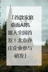 首款家庭桌面AI机器人全国首发！北京亦庄企业参与研发