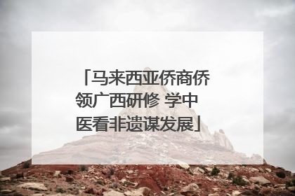 马来西亚侨商侨领广西研修 学中医看非遗谋发展