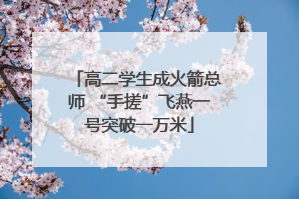 高二学生成火箭总师 “手搓”飞燕一号突破一万米