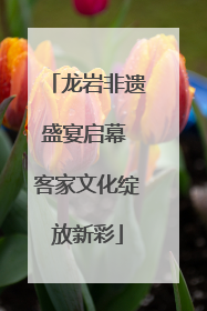 龙岩非遗盛宴启幕 客家文化绽放新彩
