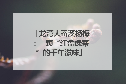 龙湾大岙溪杨梅：一颗“红盘绿蒂”的千年滋味