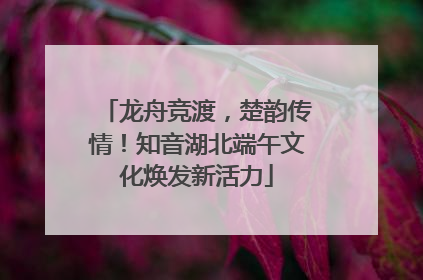龙舟竞渡，楚韵传情！知音湖北端午文化焕发新活力