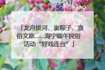 龙舟拔河、裹粽子、渔俗文旅……海宁端午民俗活动“好戏连台”