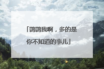 鹮鹮我啊，多的是你不知道的事儿