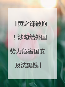 黄之锋被拘！涉勾结外国势力危害国安及洗黑钱
