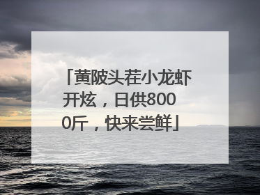 黄陂头茬小龙虾开炫，日供8000斤，快来尝鲜