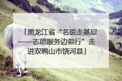 黑龙江省“名医走基层——志愿服务边疆行”走进双鸭山市饶河县