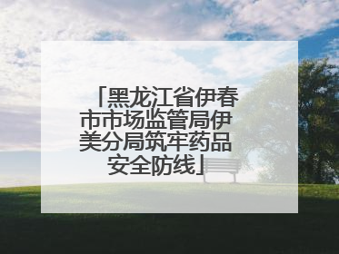黑龙江省伊春市市场监管局伊美分局筑牢药品安全防线