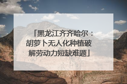 黑龙江齐齐哈尔：胡萝卜无人化种植破解劳动力短缺难题