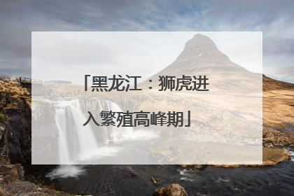 黑龙江：狮虎进入繁殖高峰期