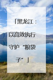 黑龙江：以高效执行守护“粮袋子”