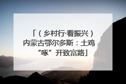 （乡村行·看振兴）内蒙古鄂尔多斯：土鸡“啄”开致富路
