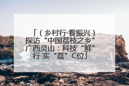 （乡村行·看振兴）探访“中国荔枝之乡”广西灵山：科技“鲜”行 实“荔”C位
