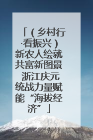 （乡村行·看振兴）新农人绘就共富新图景 浙江庆元统战力量赋能“海拔经济”