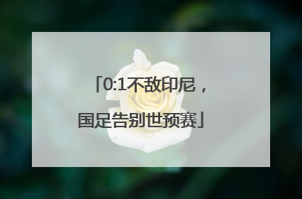 0:1不敌印尼，国足告别世预赛