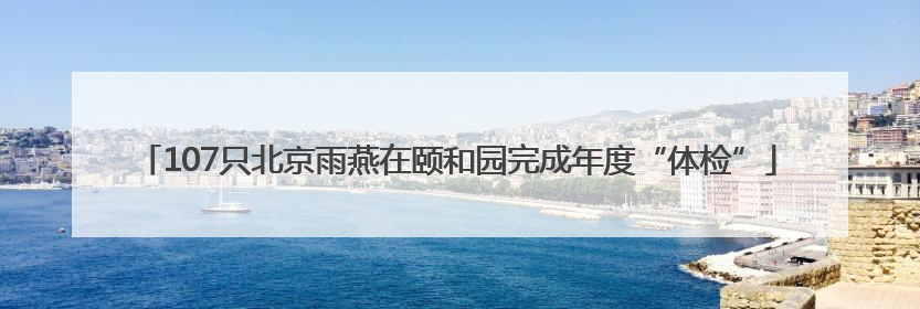 107只北京雨燕在颐和园完成年度“体检”