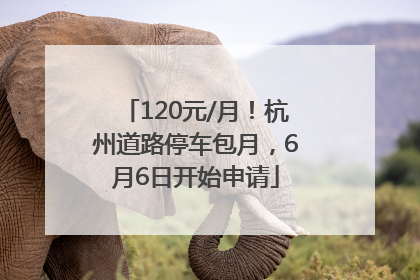 120元/月！杭州道路停车包月，6月6日开始申请