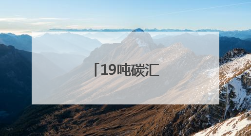 19吨碳汇补偿到位