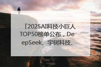 2025AI科技小巨人TOP50榜单公布，DeepSeek、宇树科技、蘑菇车联等企业荣誉上榜