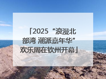 2025“浪漫北部湾 潮派嘉年华”欢乐周在钦州开幕