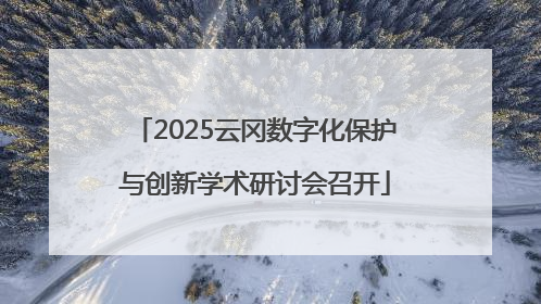 2025云冈数字化保护与创新学术研讨会召开