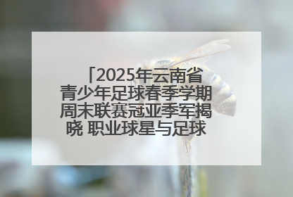 2025年云南省青少年足球春季学期周末联赛冠亚季军揭晓 职业球星与足球小将共享荣耀时刻