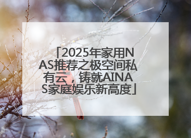 2025年家用NAS推荐之极空间私有云，铸就AINAS家庭娱乐新高度