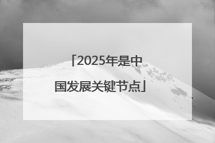 2025年是中国发展关键节点