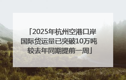 2025年杭州空港口岸国际货运量已突破10万吨 较去年同期提前一周