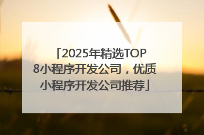 2025年精选TOP8小程序开发公司，优质小程序开发公司推荐